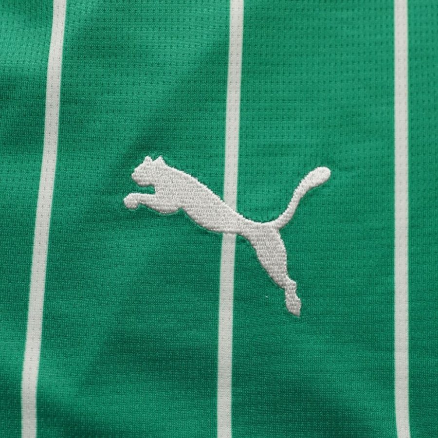 Rapid wien 2023 2024 puma home green