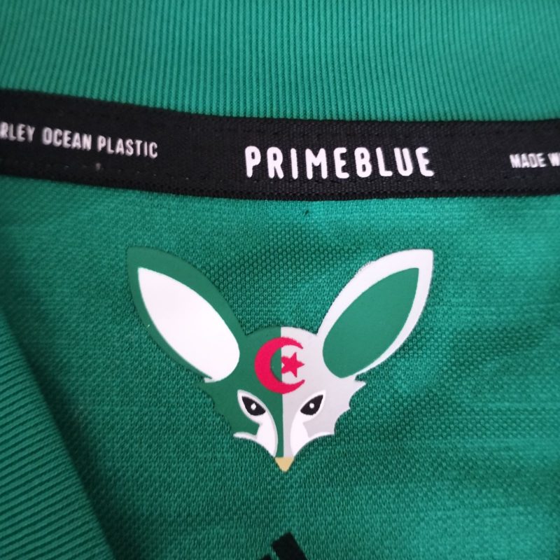 algerie away kit adidas 2020 2021 green