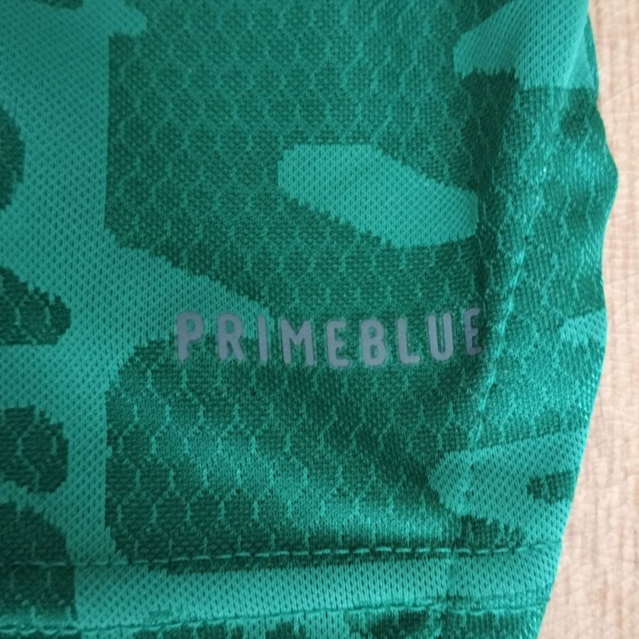 algerie away kit adidas 2020 2021 green