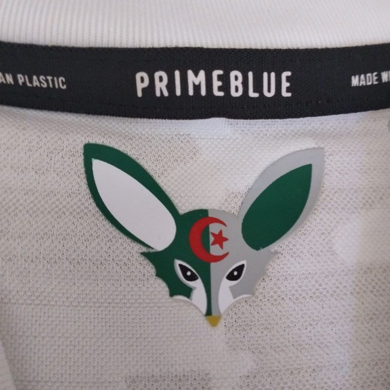algeria home adidas 2020 2021 adidas white green