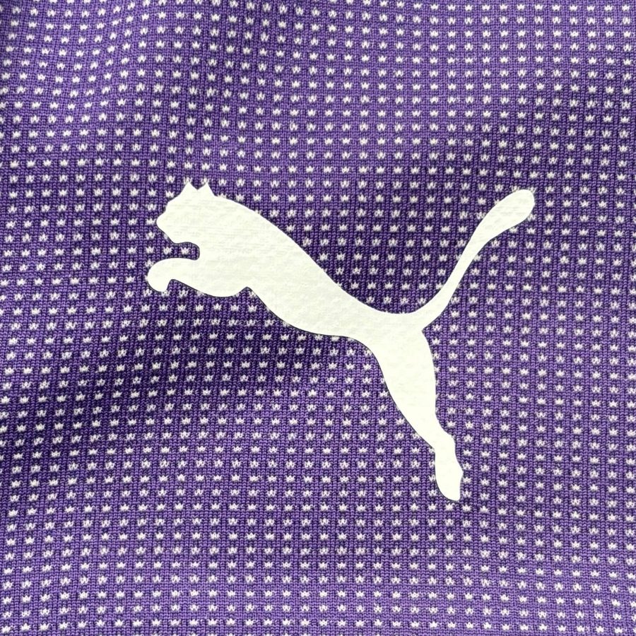 arsenal-2018-2019-goalkeeper-puma-7