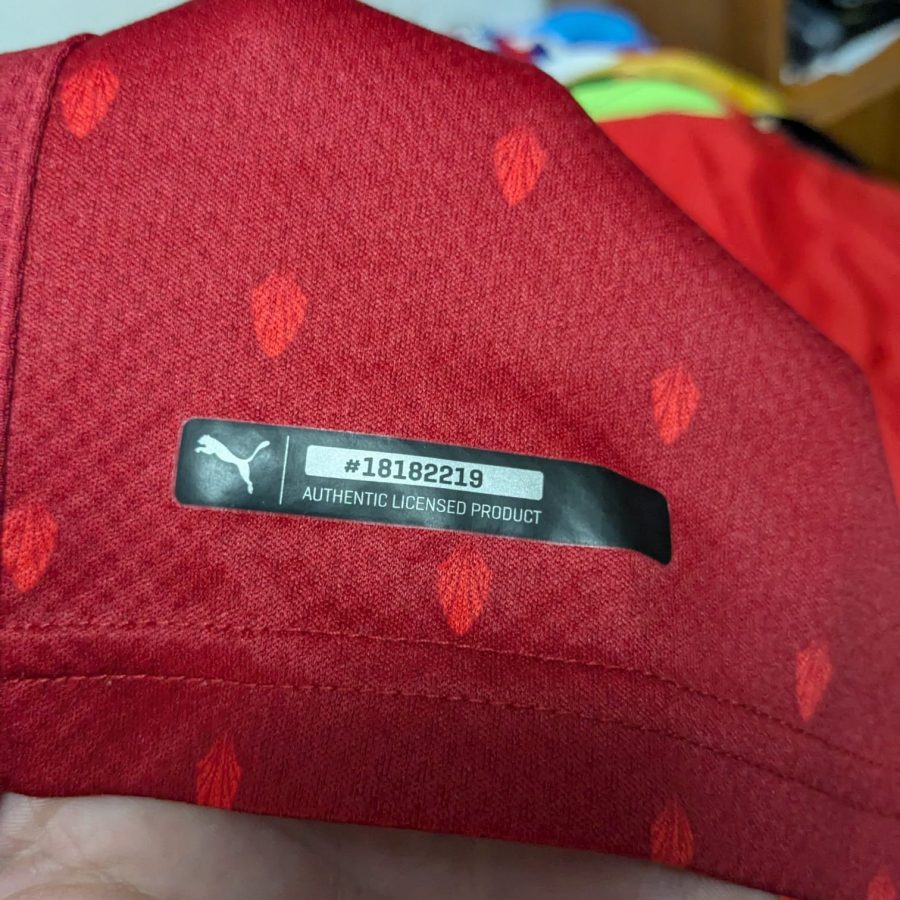 austria-osterreich-2020-puma-home-5