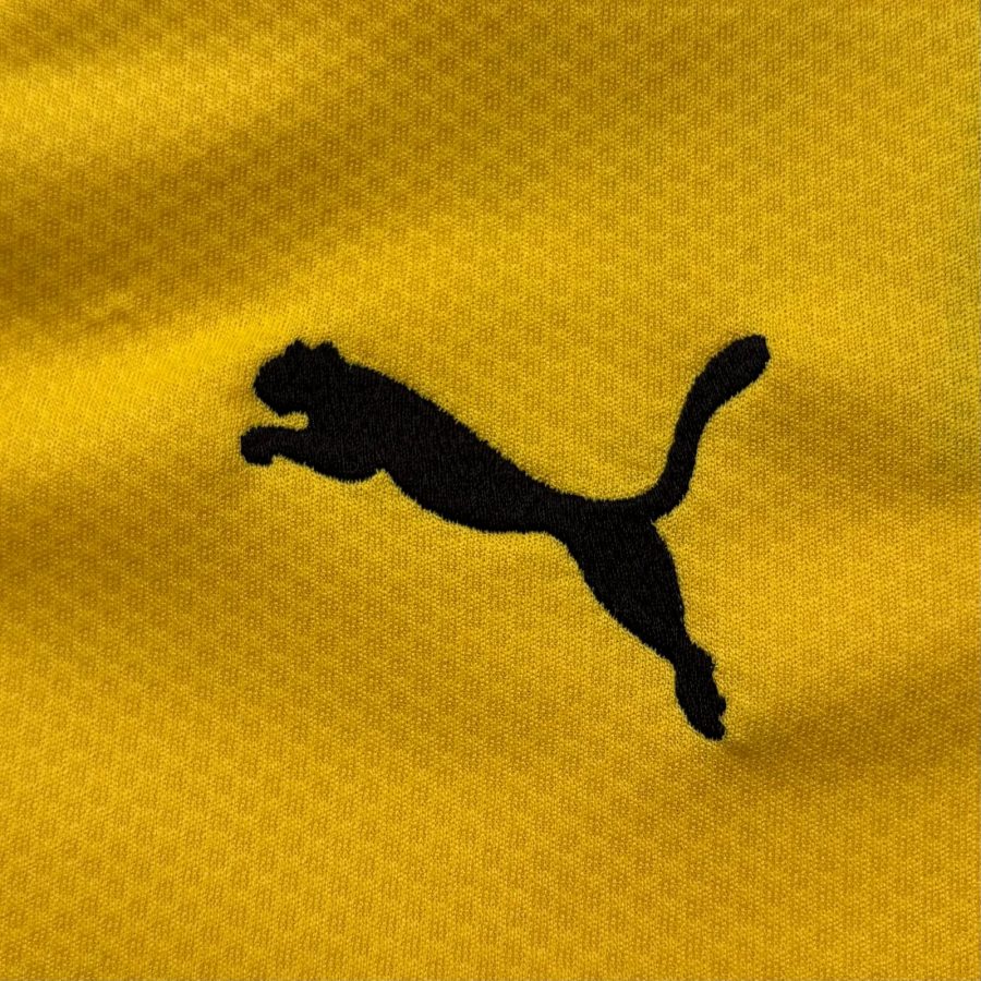 borussia-dortmund-puma-home-2019-2020-logo