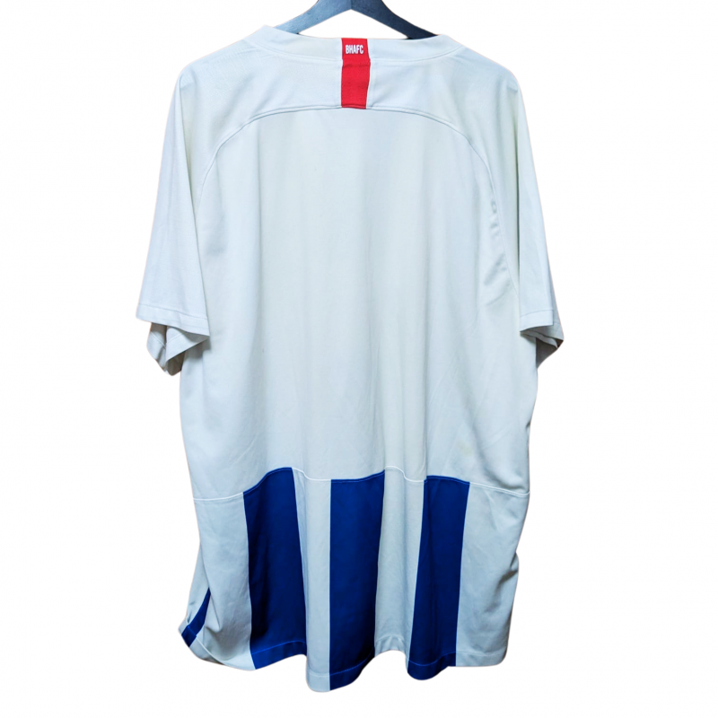 brighton-hove-albion-nike-2018-2019-home-back