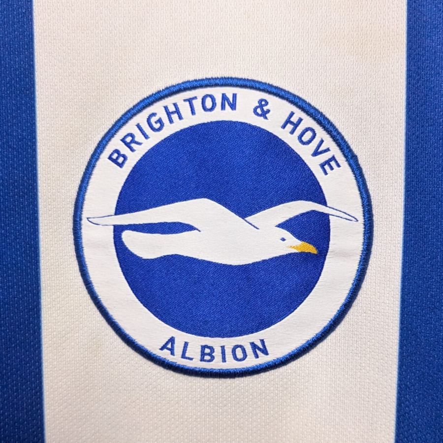 brighton-hove-albion-nike-2018-2019-home-crest