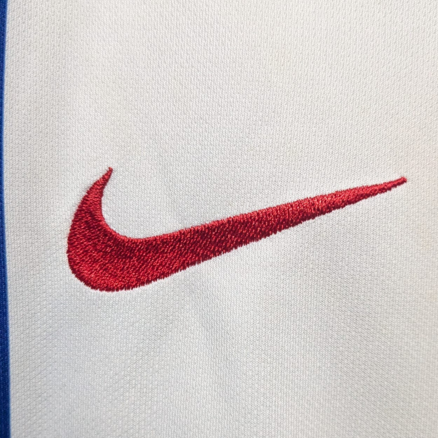 brighton-hove-albion-nike-2018-2019-home-logo