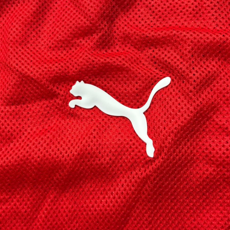 czech-republic-2008-puma-home-jersey-logo