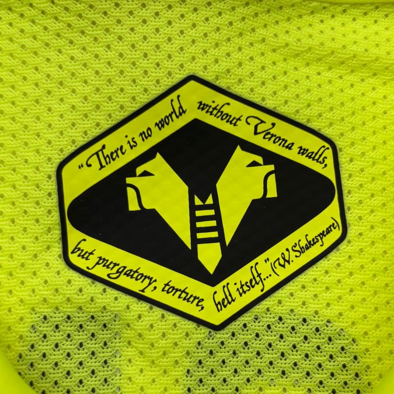 hellas-verona-2015-2016-nike-third-jersey-detail5