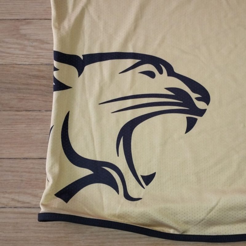 lucchese 1905 third jersey ready sport 2022 2023 gold