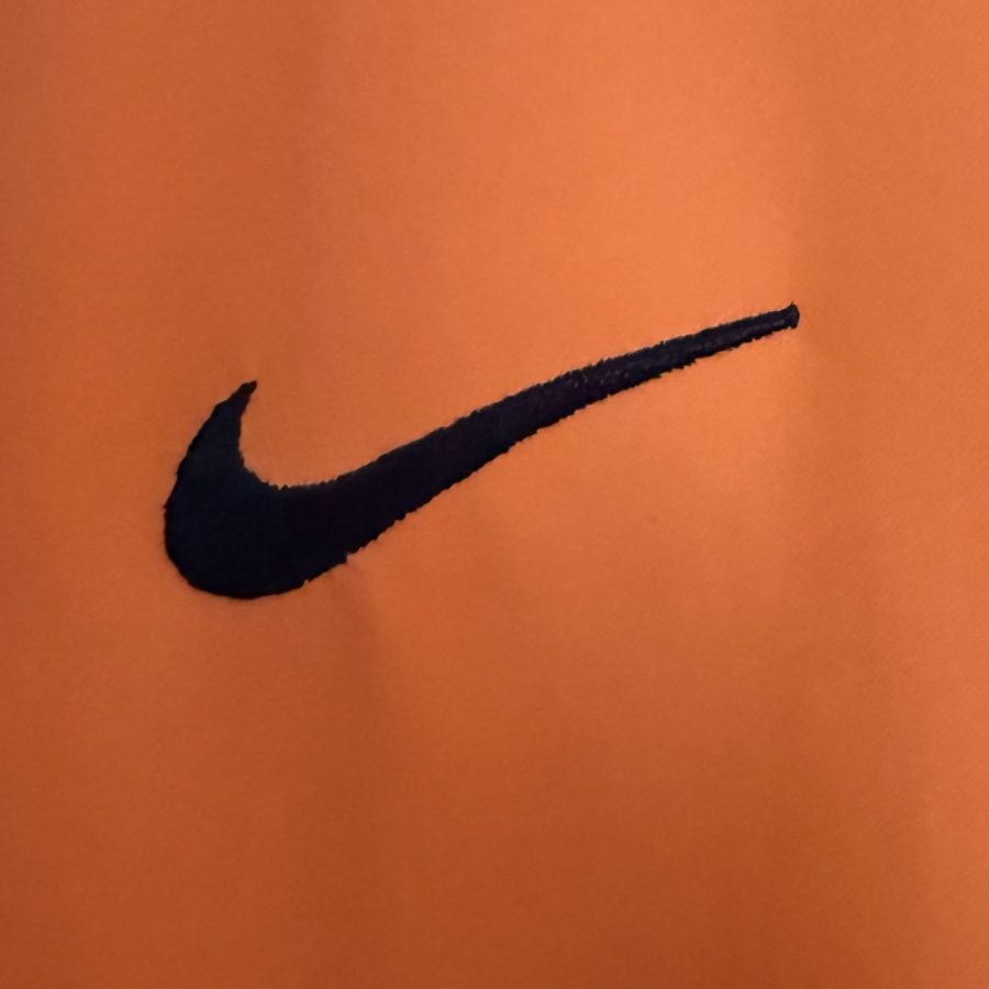 paises-bajos-2002-nike-netherlands-nederland-home-jersey-6