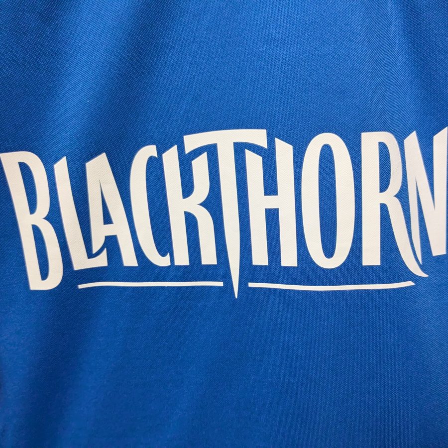 rangers home jersey puma 2013 2014 blue