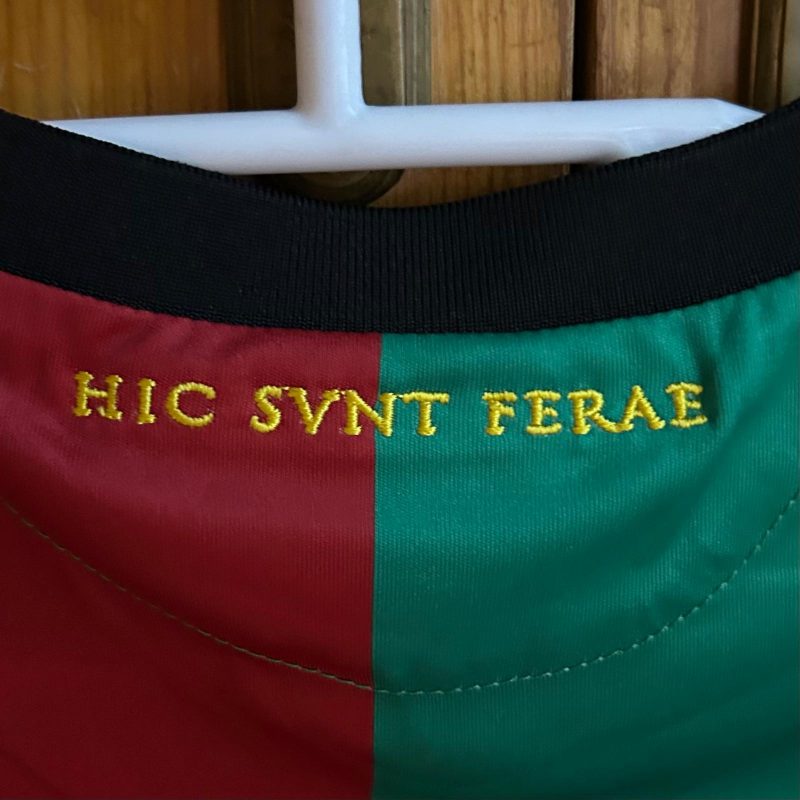 ternana home jersey macron 2024 2025 green red