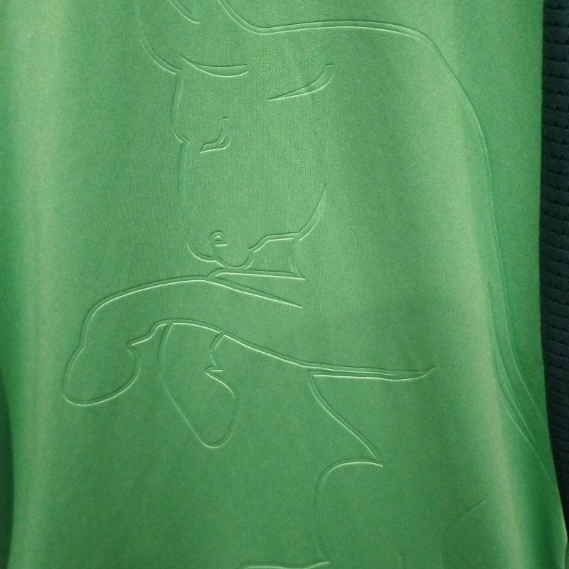 torino goalkeeper 2021 2022 joma chapecoense green