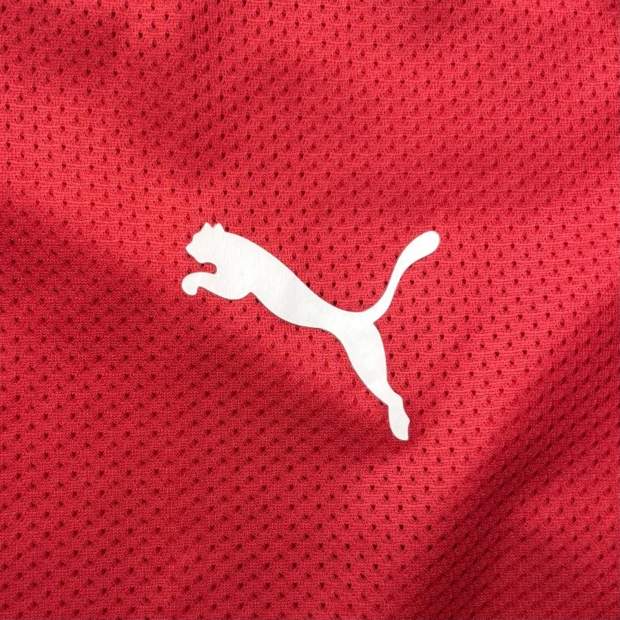 vfb-stuttgart-away-jersey-puma-issued-2008-2010-logo