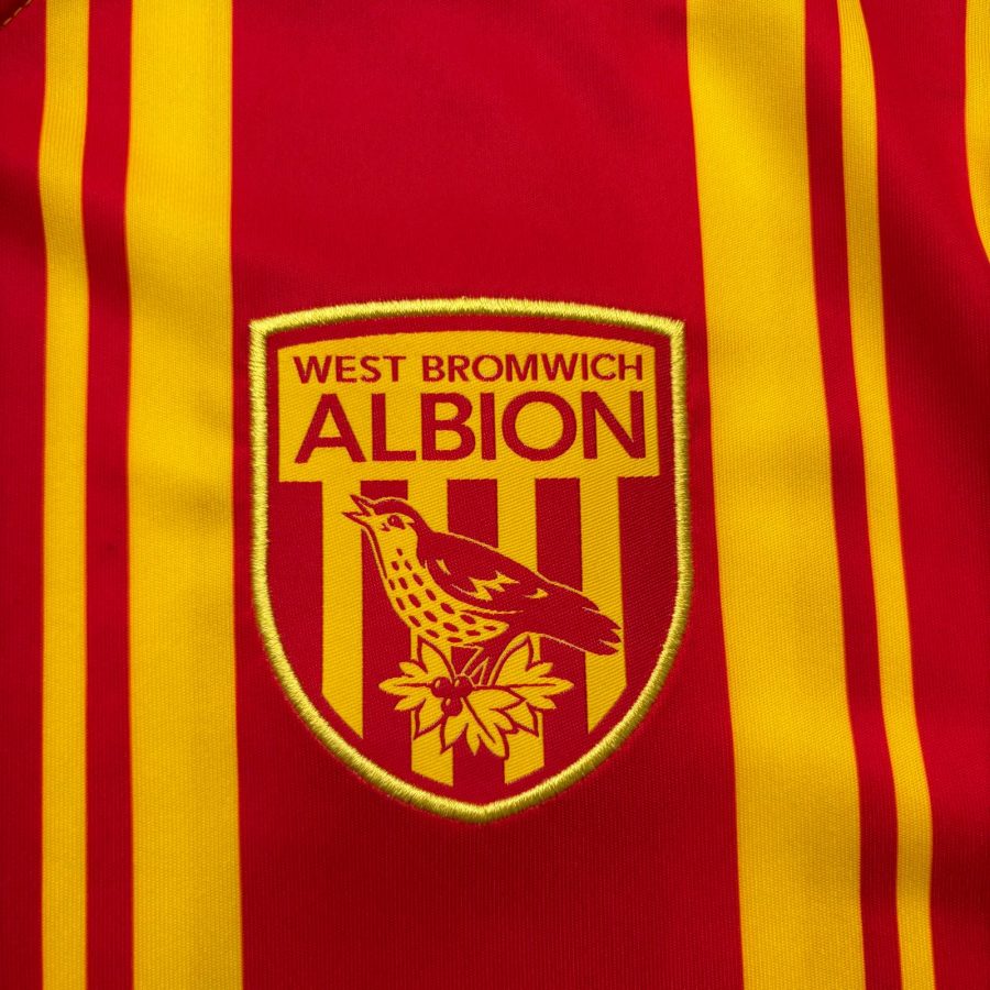west-bromwich-albion-2020-2021-third-puma-4