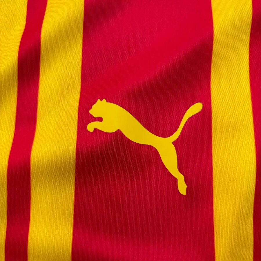 west-bromwich-albion-2020-2021-third-puma-5